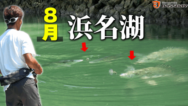 【YouTube動画アップ：これが真夏の浜名湖のリアルです】