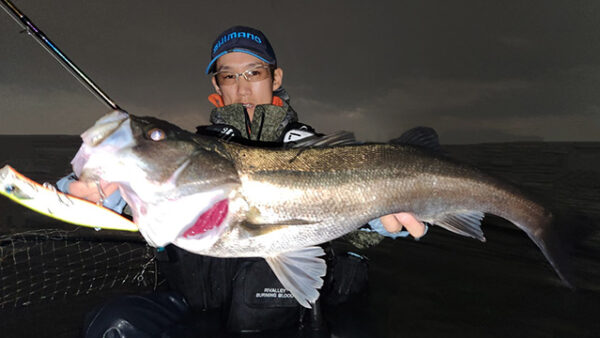 湾奥河川のコノシロパターン開幕(鈴木 諒 様)
