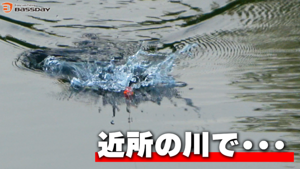 【YouTube動画アップ：仕事終わりに短時間で 出来る最高の釣りを 見つけちゃいました！！